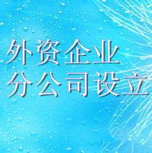 【在岳阳市注册外资公司、外国公司注册交给翔